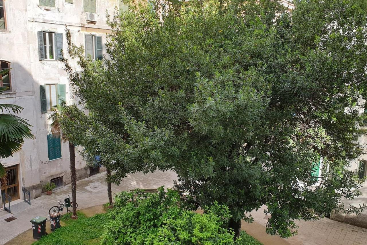 Casa Ferrari Testaccio E Trastevere Wi-Fi Free โรม ภายนอก รูปภาพ